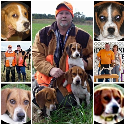 Owl Creek Kennels
