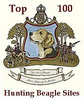 Top 100 Hunting Beagle Sites