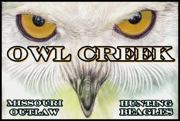 Owl Creek Kennel